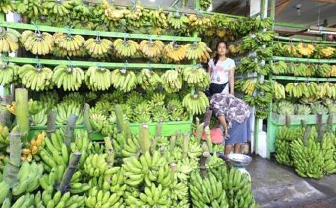 Permintaan Meningkat 100 Persen, Suarta Kewalahan Layani Pembeli Bunga - engker1.jpg