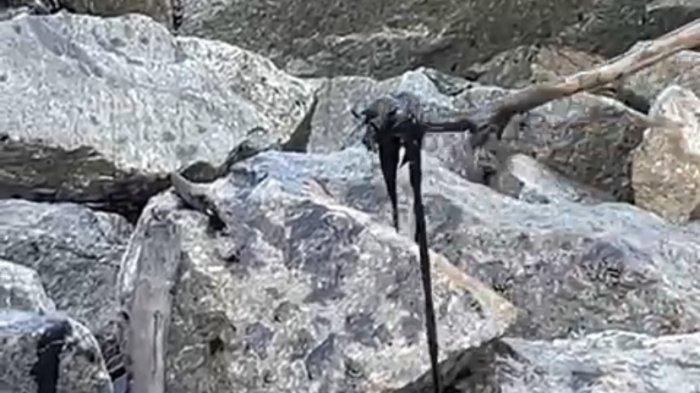 DLH Bangka Tengah Masih Tunggu Hasil dari Gakkum KLHK soal Limbah Cemari Pesisir Pantai Bateng