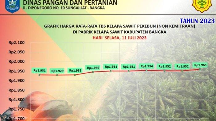 Harga TBS di Bangka Cenderung Naik Perlahan, Ini Update Harga Terkini di Sembilan Perusahaan Sawit