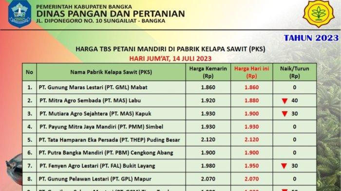 Update Harga TBS Sawit Terkini di Bangka, 4 Perusahaan Sawit Turunkan Harga