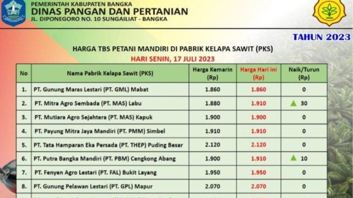Update Harga TBS Sawit Terkini di Bangka, Dua Perusahaan Naikkan Harga Beli