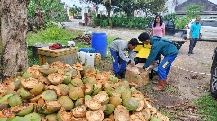Kulit Kelamud Sumbang Kenaikan Volume Sampah di Kabupaten Bangka