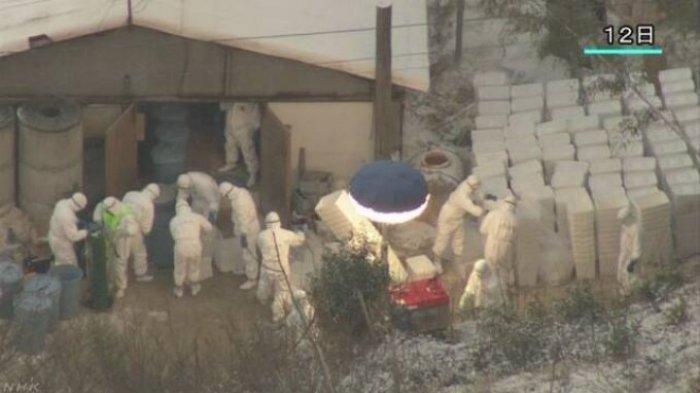 Anak Laki-laki Usia 4 Tahun ini Menjadi Manusia Pertama Terinfeksi Flu Burung H3N8