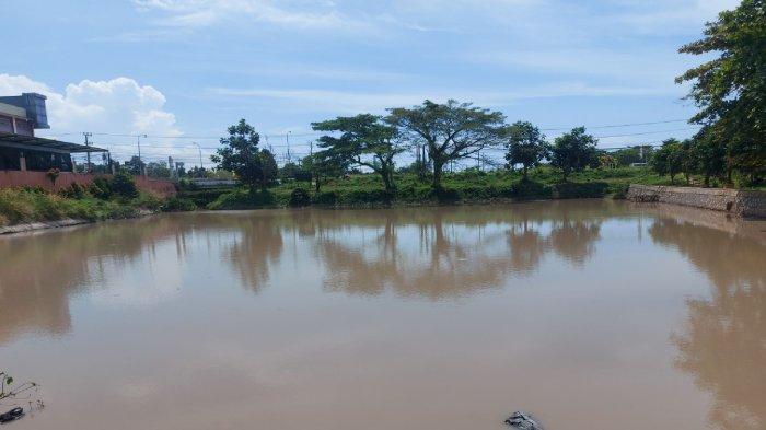 Tak Pernah Lagi Muncul, Ternyata Pemberi Makan Buaya Kolong Kepuh Tersangkut Masalah Tambang Ilegal