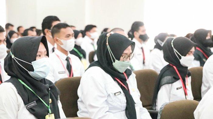 Siap-siap, Pendaftaran CPNS 2023 Segera Dibuka, Berikut Jurusan yang Paling Banyak Dibutuhkan