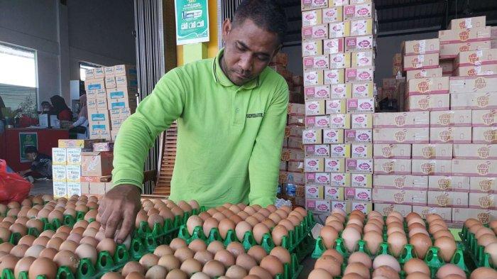 Dikirim Langsung dari Palembang, Harga Telur Ayam di Didistributor Pangkalpinang Belum Turun