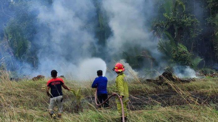 Lahan Seluas 1,5 Hektare di Desa Kurau Terbakar, Hampir Hanguskan Hutan Mangrove