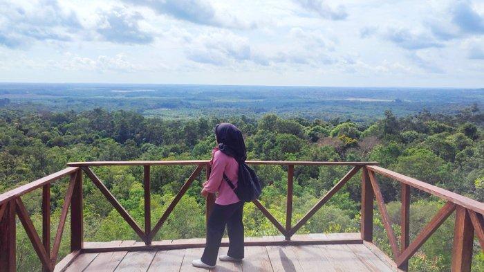 Yuk Berwisata ke Gunung Lumut Beltim, Jika Beruntung Bisa Temukan Cicak Ahok Penjaga Gua Kelelawar