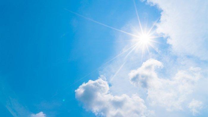 Panas Ekstrim Selimuti Babel, Lahan Belukar Hingga Pesisir Pantai Berpotensi Terjadi Kebakaran