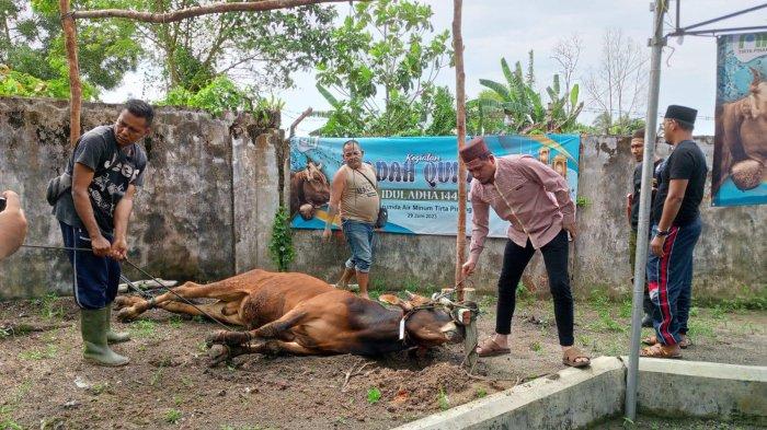 Berbagi Bersama Raih Keberkahan Idul Adha, Perumda Tirta Pinang Kurbankan Satu Ekor Sapi
