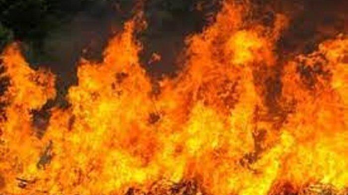 Dikira Hanya Orang Bakar Ban, Warga di Belitung Tak Menyangka Gudang Furniture Kebakaran