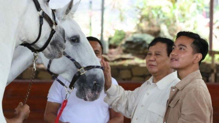 Pencalonan Gibran Sebagai Cawapres, Ikrar Nusa Bakti Umpamakan Pribahasa Mulutmu Harimaumu