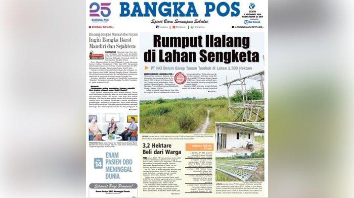 Rumput Ilalang di Lahan Sengketa, PT NKI Belum Garap Tanam Tumbuh di Lahan 1.500 Hektare