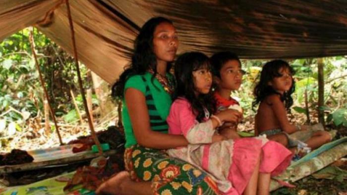 20251113 SUKU ANAK DALAM JAMBI