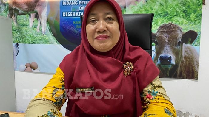 Kepala Bidang Peternakan dan Kesehatan Hewan, Dinas Pangan dan Pertanian (Dinpanpertan) Kabupaten Bangka, Krisnaningsih.
