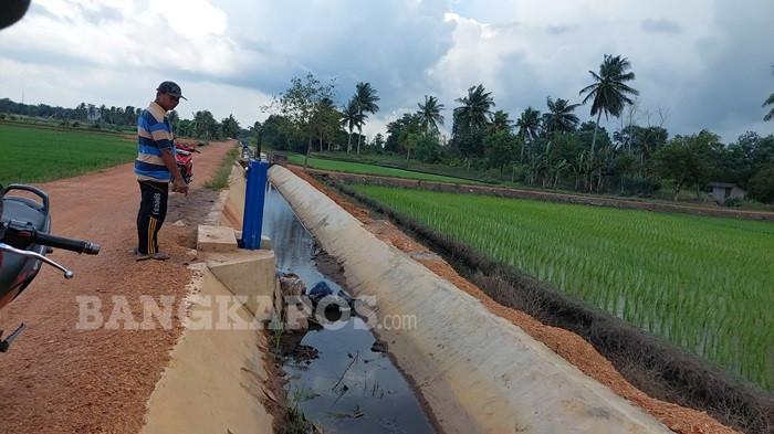 KONDISI IRIGASI -- Kondisi terkini saluran irigasi persawahan di Desa Rias yang tak lagi mengalir, Kamis (16/4/2026). Petani kini mulai khawatir dengan potensi kemarau panjang disertai belum optimalnya Bendungan Pumpung.