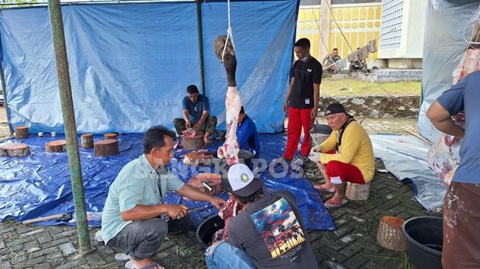 KURBAN -- Proses penyembelihan hewan kurban, dilingkungan Pemkab Bangka, Kamis (28/5/2026).