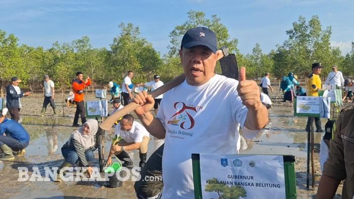 Momen pelaksanaan penanaman mangrove dalam rangka Hari Lingkungan Hidup dan Hari Kesatuan Gerak PKK ke 54 yang dilakukan Gubernur Hidayat Arsani di Desa Baskara Bakti, Kabupaten Bangka Tengah, Jumat (5/6/2026).