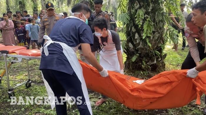 EVAKUASI MAYAT — Personil kepolisian saat mengevakuasi mayat sosok pria yang  pohon sawit di Desa Air Bulin, Kecamatan Kelapa, Bangka Barat, Kamis (11/6/2026) siang.
