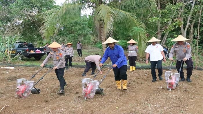 TANAM JAGUNG -- Sejumlah pejabat utama Polres Bangka Selatan ketika melakukan penanaman jagung di Desa Rindik, Minggu (8/3/2026). Penanaman jagung kuartal pertama dilakukan guna mendukung program swasembada pangan.