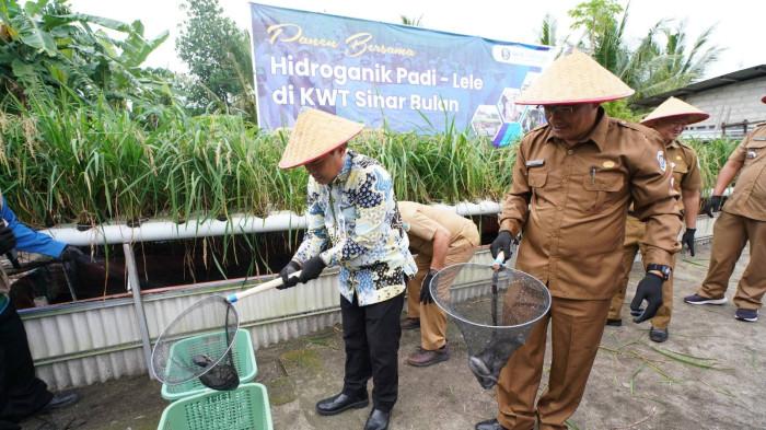 Inovasi Pertanian Terpadu dan Perkuat GNPIP, BI Babel Panen Padi-Lele Hidroganik di Pangkalpinang