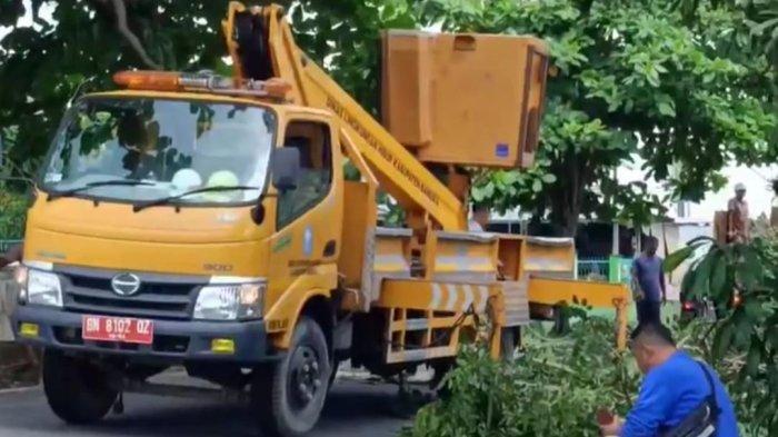 DLH Pangkas dan Tebang Pohon Cegah Tumbang dan Banjir