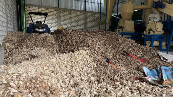 Limbah bonggol jagung dari petani di Tuban diolah melalui mesin hammer mill bantuan CSR PLN Nusantara Power UP Tanjung Awar-awar sebelum dijadikan sebagai campuran biomassa  pada co-firing PLTU Tuban. Bantuan mesin tersebut  untuk meningkatkan kapasitas produksi Koperasi Energi Cakrawala Nusantara yang mengolah limbah jagung dari petani menjadi biomassa untuk co-firing PLTU.