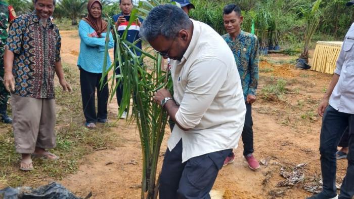 Program Tanam Perdana Kelapa Sawit Pola Plasma Mandiri di Desa Air Belo oleh PT Gunungsawit Bina Lestari pada Kamis (20/11/2025).