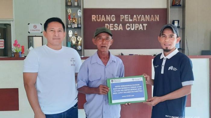 PT Timah Ringankan Bebas Kelompok Peternak Ayam Potong di Desa Cupat dengan Bantuan Modal