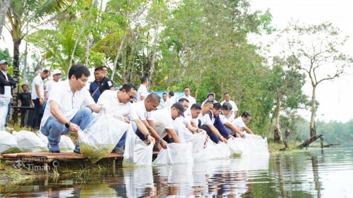 PT Timah Manfaatkan Kolong Bekas Tambang Timah, Tebar Bibit Ikan untuk Ekonomi Masyarakat