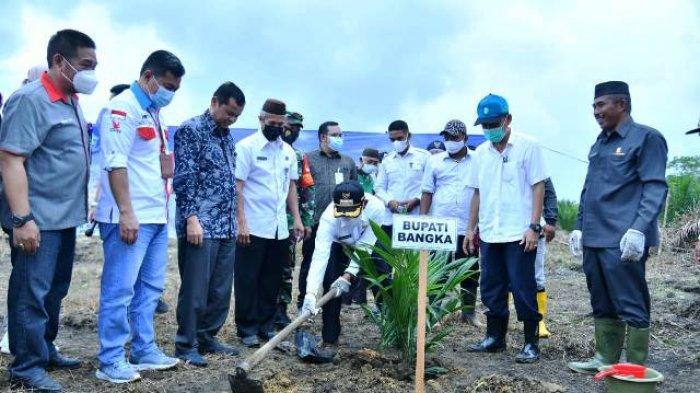Pemkab Bangka Usulkan 243,3 Hektare Tambahan untuk Program Peremajaan Sawit Rakyat