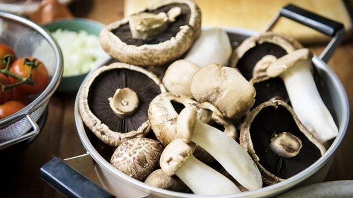 Jamur Cordyceps, Obat Herbal yang Dianggap China Lebih Mahal dari Emas