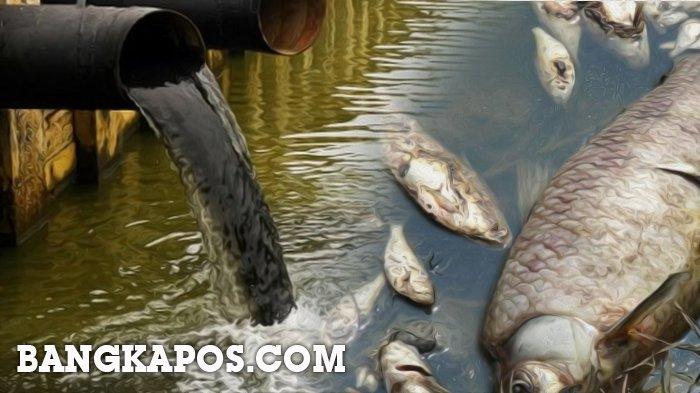 Direktur PT Chandra Putra Petroleum Utama Ditetapkan Sebagai Tersangka Kasus Pencemaran Lingkungan