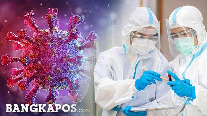 UPDATE Covid-19, Satu Warga Kabupaten Bangka Terpapar Virus Corona