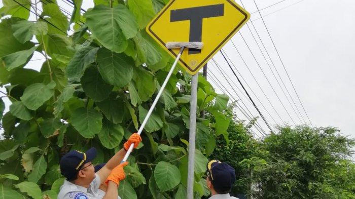 350 Unit Rambu Lalu Lintas Sudah Terpasang di Jalan Babel, Dishub Siap Pasang Bila Ada Area Rawan