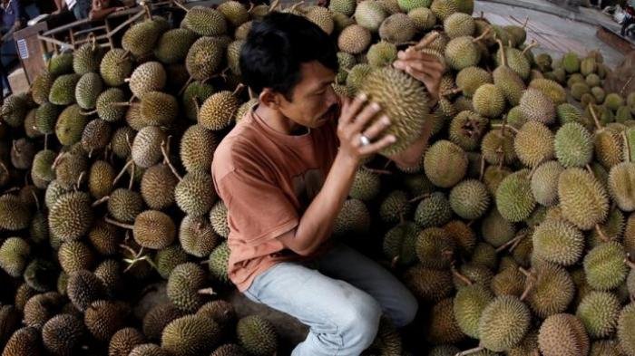 Pedagang durian