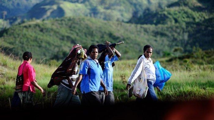 Inilah 7 Fakta Unik Wamena, Kota Kecil di Papua yang Berjuluk Mutiara Hitam