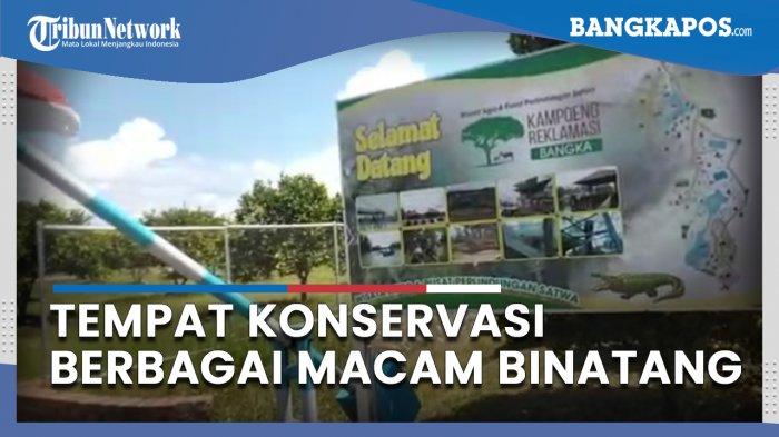 Konsisten Reklamasi Berkelanjutan, PT Timah Tbk Kolaborasi Dengan Alobi Rehabilitasi Satwa Liar
