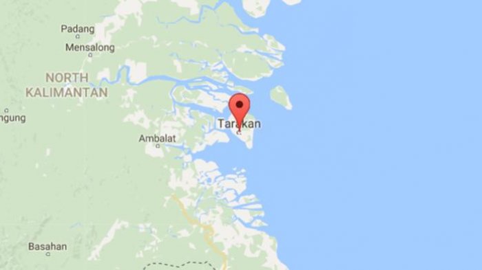 Pencari Gaharu Temukan Heli TNI Hancur di Tengah Hutan