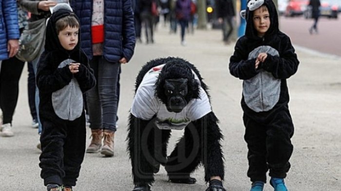 Demi Organisasi, Tuan 'Gorila' Berhasil Melintasi Garis Finish Marathon Setelah 6 Hari