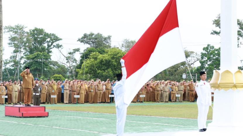 Tribun