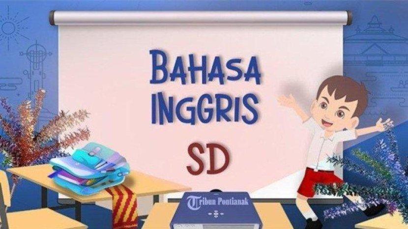 Tribun