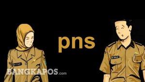 19022020_ilustrasi-pns1.jpg