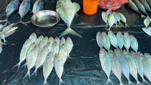 20231026-Ilustrasi-foto-ikan-yang-dijual-di-pasar.jpg