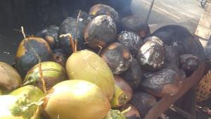 20250807-Kelapa-bakar.jpg