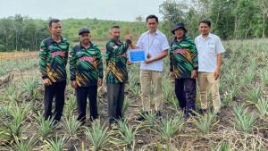 20250916_PT-Timah-Bantu-Bibit-Nanas.jpg