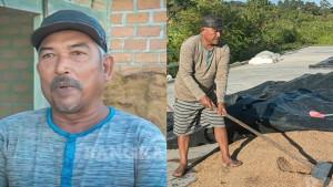 20250920-Petani-Padi-Desa-Rias.jpg