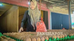 20250923-PILIH-TELUR-Sejumlah-pembeli-ketika-memilih-telur-yang-12.jpg