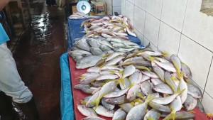 20250924-IKAN-Para-pedagang-di-Pasar-Mentok-Bangka-Barat-berharap-123.jpg