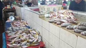 20250924-IKAN-Para-pedagang-di-Pasar-Mentok-Bangka-Barat-berharap-daya.jpg